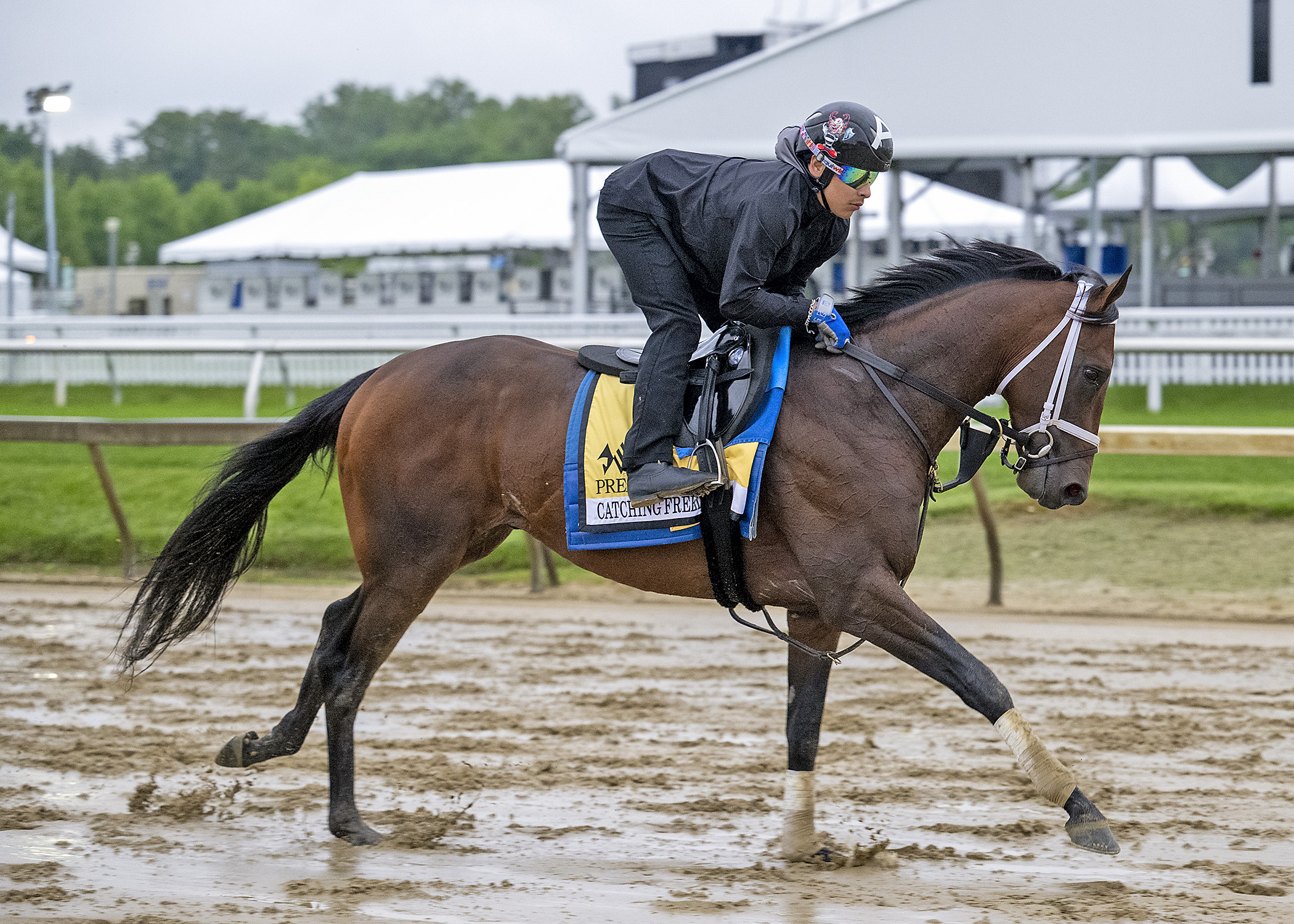 Catching Freedom the Solid Ohio Derby Choice; Odds, Picks