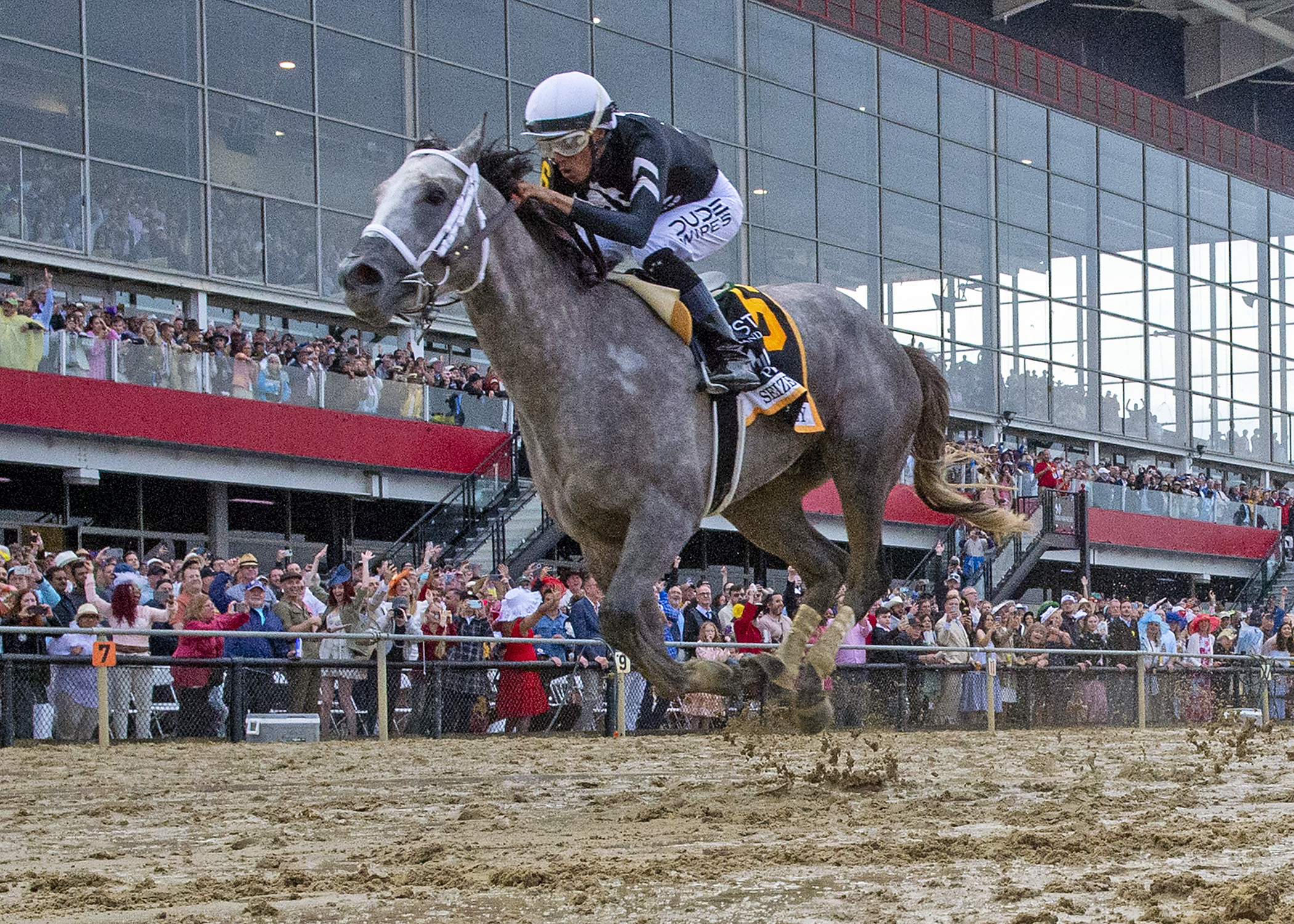 2024 Belmont Stakes Contenders: SEIZE THE GREY