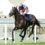 Royal Ascot Day 2 Double for O’Brien with Auguste Rodin, Illinois