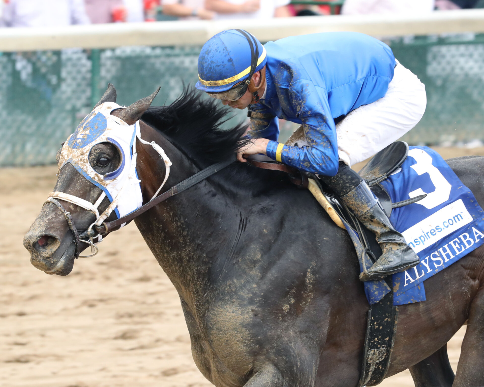 Pletcher Pair Set for Stephen Foster at Churchill Downs