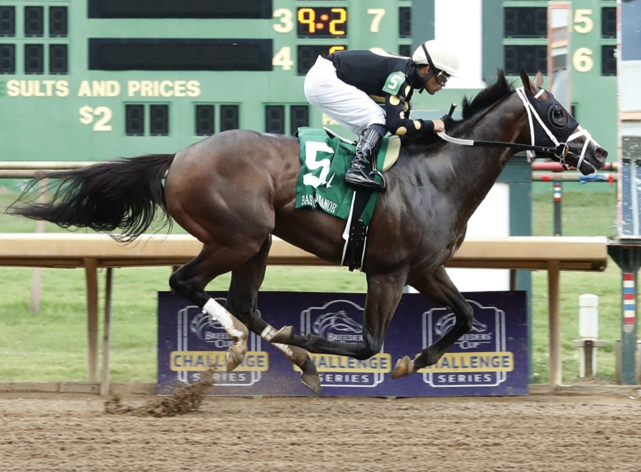 2024 Belmont Stakes Contenders: THE WINE STEWARD