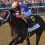 Breeders’ Cup: Early Look at the Dirt Races