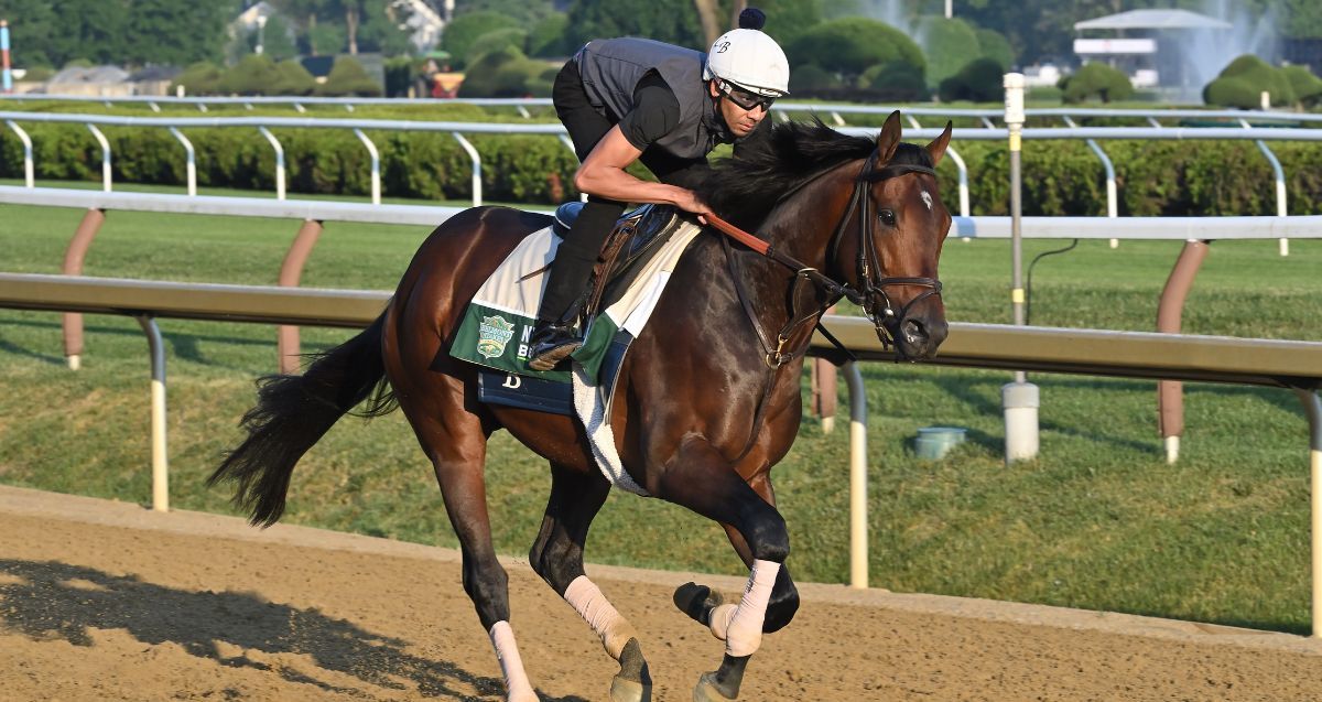 Travers Stakes 2024 Entries Mercy Tiffanie