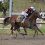 Thorpedo Anna Comes Through to Win Cotillion Stakes