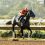 Gaming Gives Baffert 18th Win in Del Mar Futurity