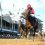 Jonathan’s Way Shows the Way in Iroquois Stakes