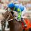 Breeders’ Cup Classic Contender: SENOR BUSCADOR