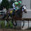 Breeders’ Cup Brights: D’Amato Works Five; Thorpedo Anna Ready