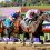 Sierra Leone Soars in  2024 Breeders’ Cup Classic