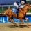 Her Laugh Untouchable in Winning Untapable at Fair Grounds