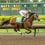 Journalism, Coal Battle on Derby Trail; Baffert with Top 3