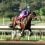 Raging Torrent Wins Malibu; Derby Winner Mystik Dan Fails to Fire