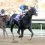 Pegasus World Cup: Newgrange Joins the Field