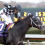 Speed King Pulls an Upset in Southwest Stakes 