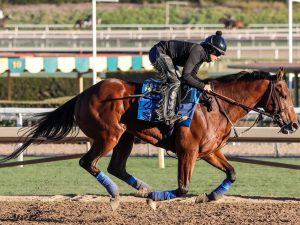 🏇 Stay ahead with US Racing. Award-winning horse racing news, Kentucky Derby Contenders Analysis. 🏆 All you need for every race 🌟