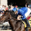 Kentucky Derby Prep Races: Risen Star Stakes 2025