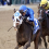 Kentucky Oaks Prep Races: Rachel Alexandra Odds