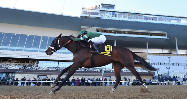 Stay ahead with US Racing. Award-winning horse racing news, race previews, results, odds & more. All you need for every race.