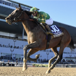 Sensational Saudi Cup: Forever Young Edges Romantic Warrior