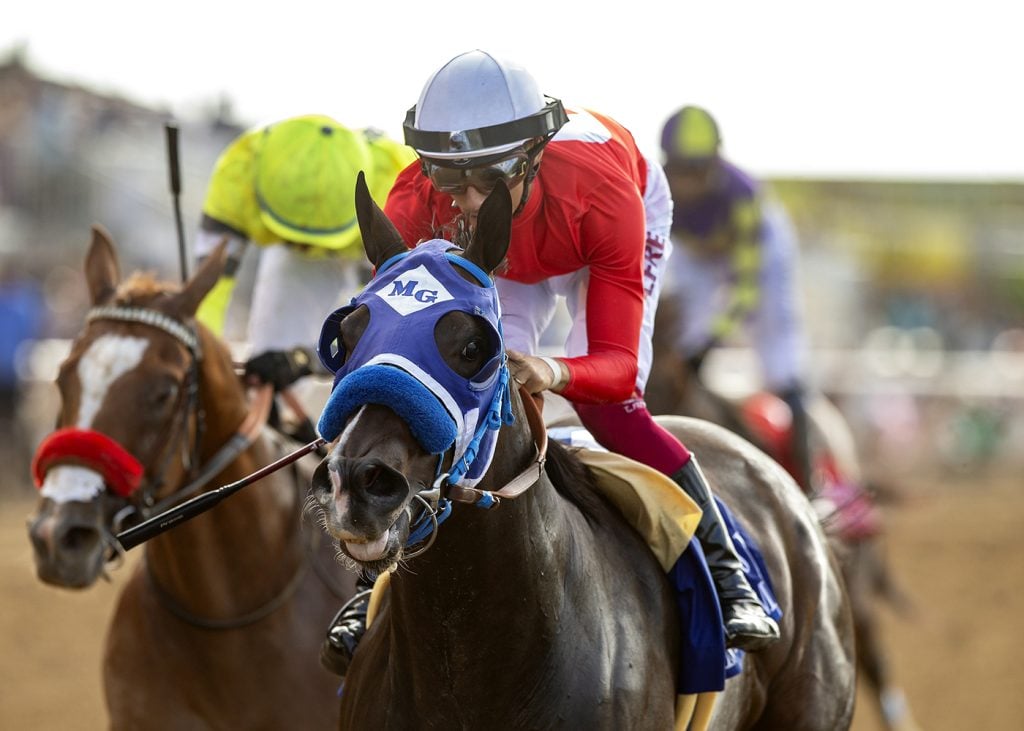 Dr. Venkman at the Santa Anita Sprint Championship