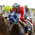 Sensational Saudi Cup: Forever Young Edges Romantic Warrior