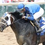 Sensational Saudi Cup: Forever Young Edges Romantic Warrior