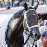 Sensational Saudi Cup: Forever Young Edges Romantic Warrior