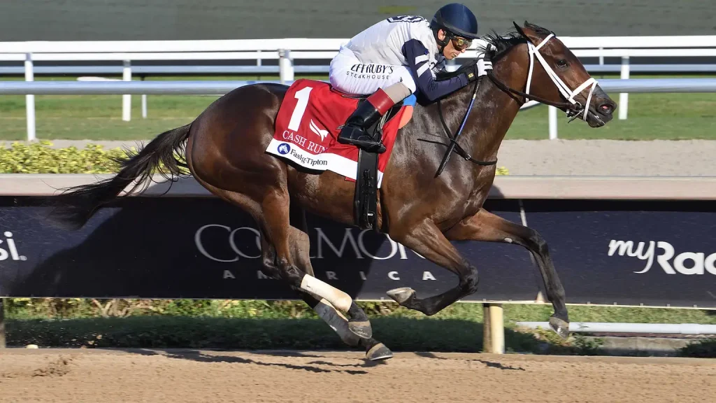 Stay ahead with US Racing. Award-winning horse racing news, 2025 Kentucky Derby Prep Races odds & more. All you need for every race.