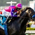 Sensational Saudi Cup: Forever Young Edges Romantic Warrior