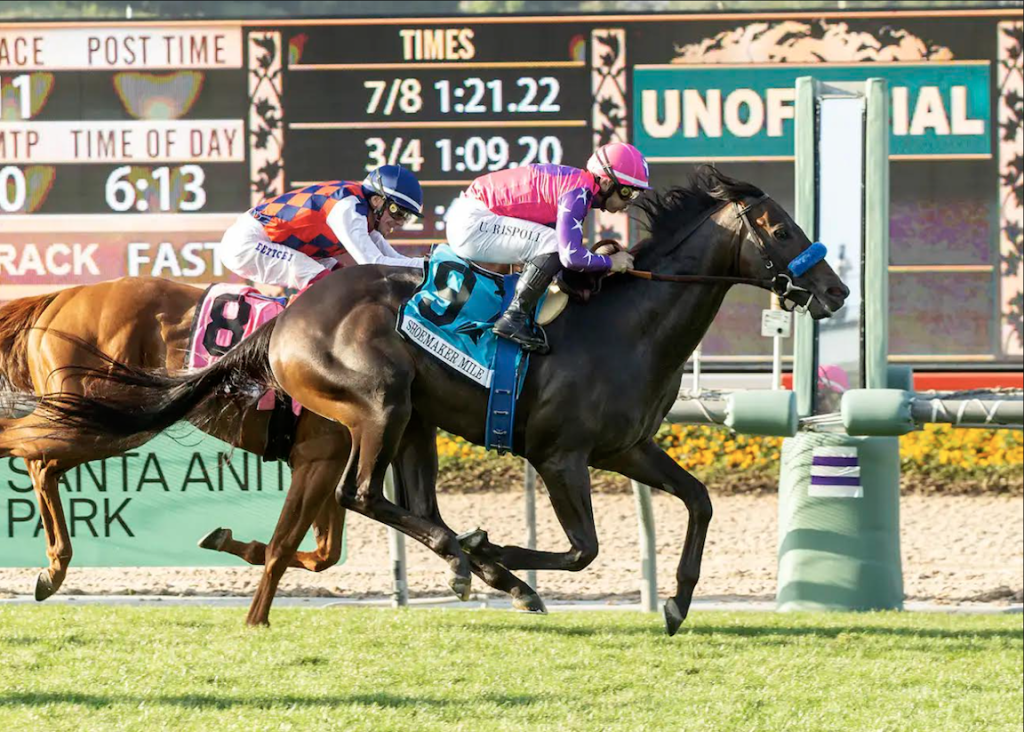 🏇 Stay ahead with US Racing. Award-winning horse racing news, 2025 Kentucky Derby Prep Races odds & more. 🏆 All you need for every race 🌟