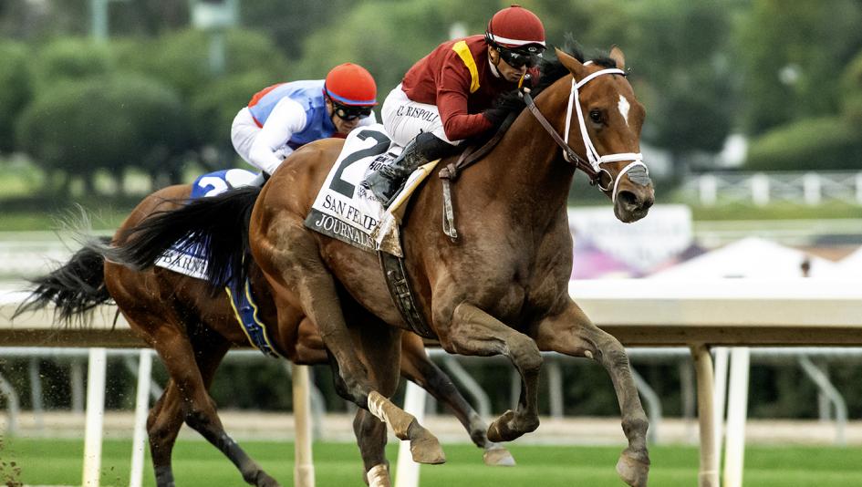 🏇 Stay ahead with US Racing. Award-winning horse racing news, San Felipe Stakes odds & more. 🏆 All you need for every race 🌟