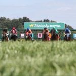 Sensational Saudi Cup: Forever Young Edges Romantic Warrior
