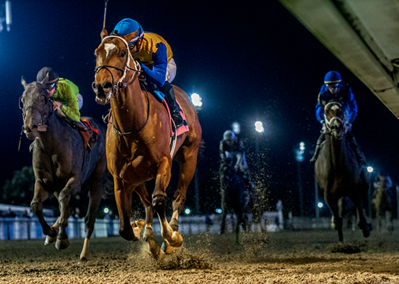 🏇 Stay ahead with US Racing. Award-winning horse racing news, 2025 Kentucky Derby Prep Races odds & more. 🏆 All you need for every race 🌟