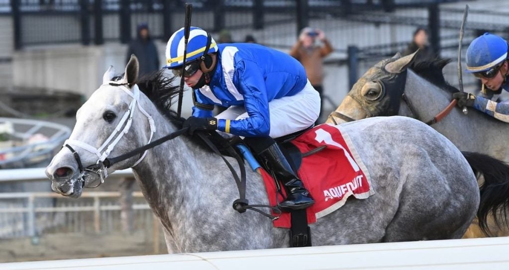 🏇 Stay ahead with US Racing. Award-winning horse racing news, Honeybee Stakes odds & more. 🏆 All you need for every race 🌟