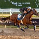 Sensational Saudi Cup: Forever Young Edges Romantic Warrior