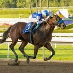 Sensational Saudi Cup: Forever Young Edges Romantic Warrior