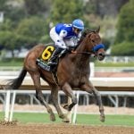 Sensational Saudi Cup: Forever Young Edges Romantic Warrior