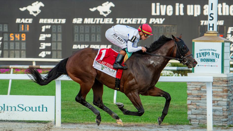 🏇 Stay ahead with US Racing. Award-winning horse racing news, Tampa Bay Derby odds & more. 🏆 All you need for every race 🌟