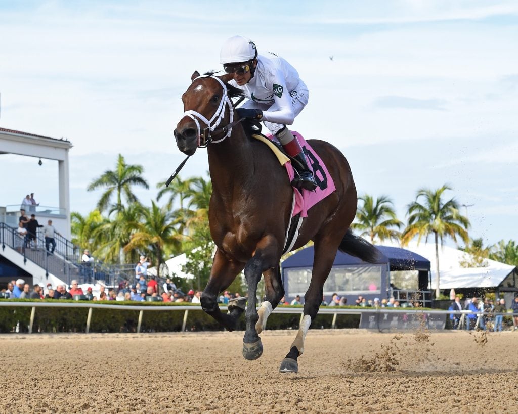 Todd Pletcher Seeks his First Preakness Stakes Win. Bet on the Preakness Stakes with the latest news and the Best Odds and Picks.
