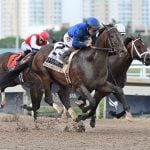 Sensational Saudi Cup: Forever Young Edges Romantic Warrior