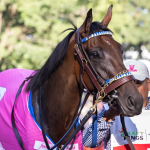 Sensational Saudi Cup: Forever Young Edges Romantic Warrior