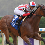 Sensational Saudi Cup: Forever Young Edges Romantic Warrior