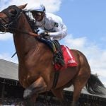 Sensational Saudi Cup: Forever Young Edges Romantic Warrior