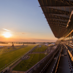 Sensational Saudi Cup: Forever Young Edges Romantic Warrior