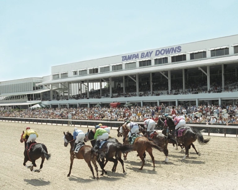 🏇 Stay ahead with US Racing. Award-winning horse racing news, 2025 Kentucky Derby Prep Races odds & more. 🏆 All you need for every race 🌟