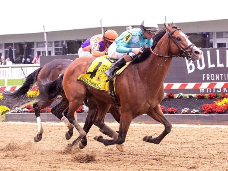 2024 Breeders' Cup Classic Contenders, Odds, Post Positions