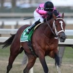 Sensational Saudi Cup: Forever Young Edges Romantic Warrior
