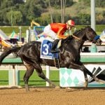 Sensational Saudi Cup: Forever Young Edges Romantic Warrior
