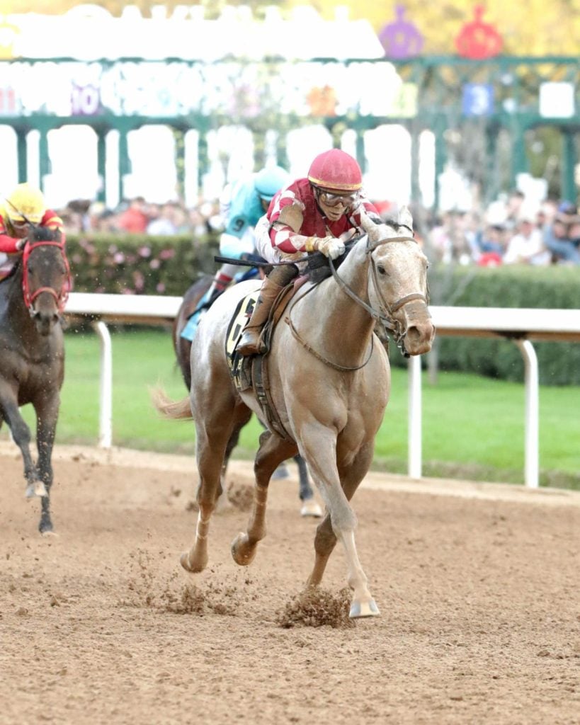 Stay ahead with US Racing. Award-winning horse racing news, 2025 Kentucky Derby Prep Races odds & more. All you need for every race.