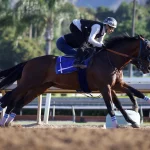 Sensational Saudi Cup: Forever Young Edges Romantic Warrior